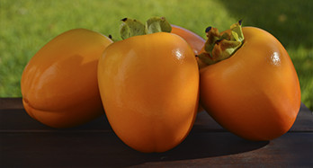 Kaki Persimon 18 kg - Cijena 53 €