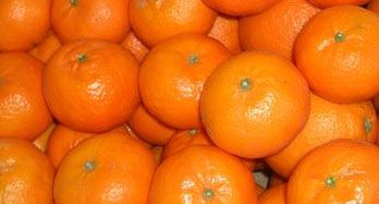 Mandarine Clementina 12 kg