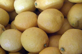 Kupite limune - Valencia lemons online