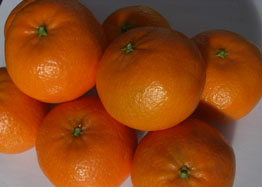 Kupite mandarine - Valencia mandarins online