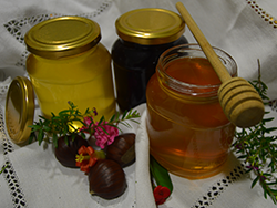 Kupite med online - Valencia natural honey online