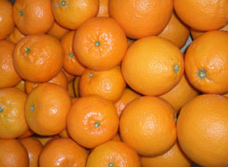 Kupite kutiju raznovrsnog voća - Valencia oranges and mandarins online