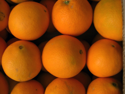 Kupite naranče online - Valencia oranges online