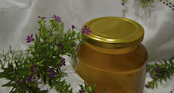 Med od majčine dušice 1 kg - Cijena 16 €