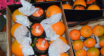 45 naranči i 28 mandarina gurmanski - Cijena 60 €