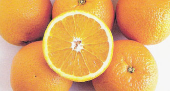 Naranče Valencia 15 kg - Cijena 44 €